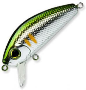 l minnow c44-n.jpg